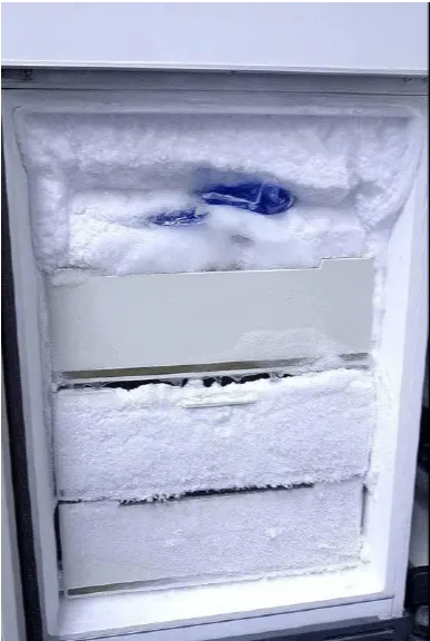 冰箱怎么处理-爱博绿