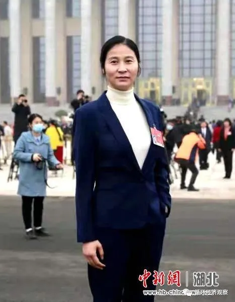 人大代表王莉：建议加大支持再生资源回收行业
