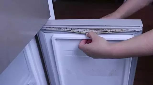 冰箱发霉处理妙招-爱博绿