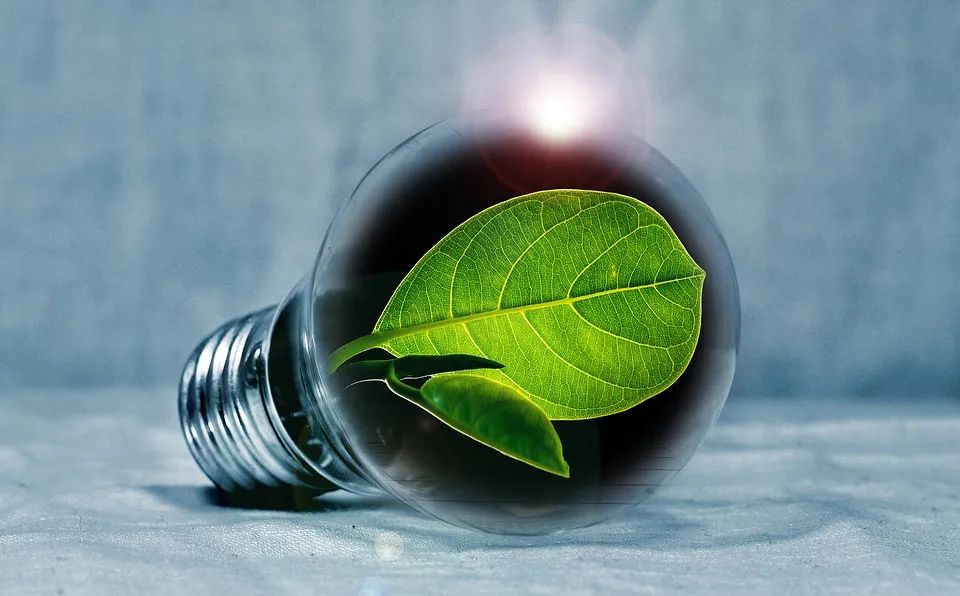 五部门推动家电下乡、以旧换新，绿色家电消费蔚然成风-爱博绿