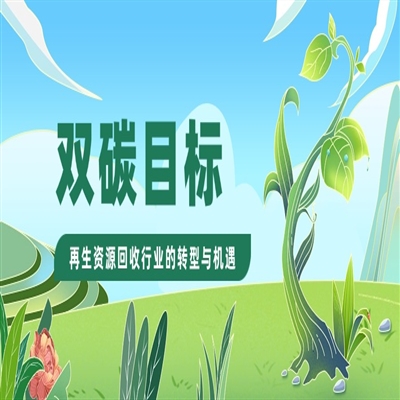 双碳目标下再生资源回收行业的转型与机遇
