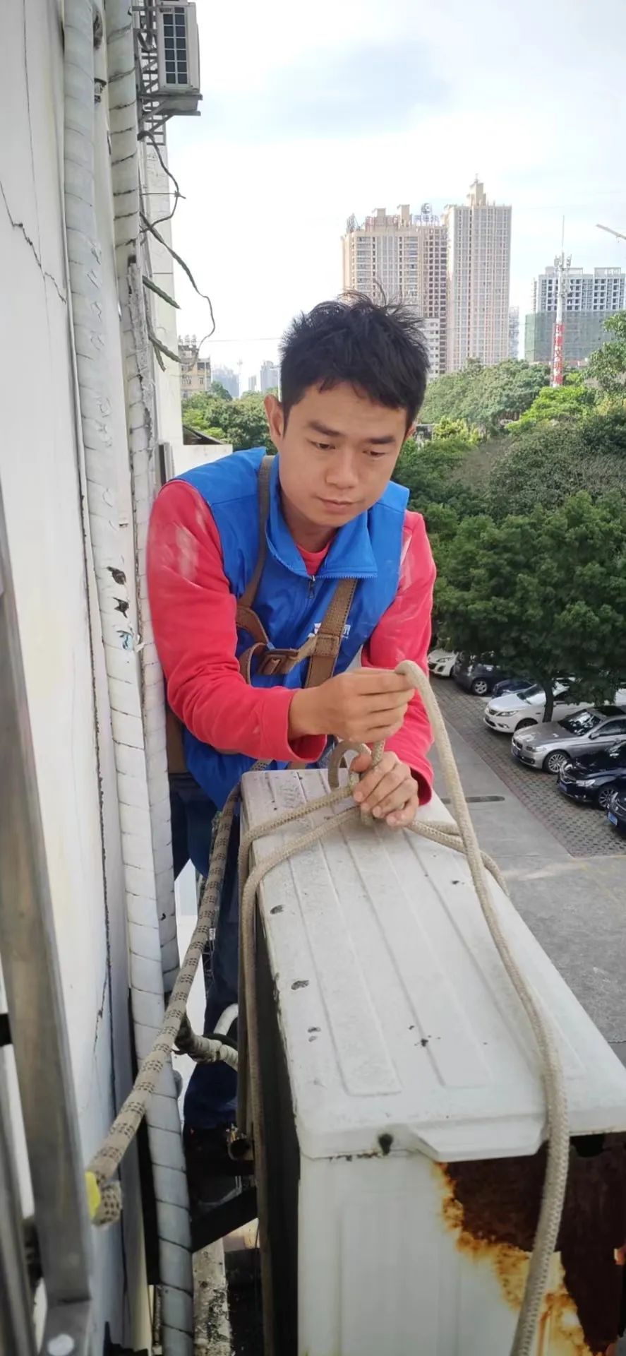 爱博绿收收哥-李洋 爱博绿收收哥-李洋