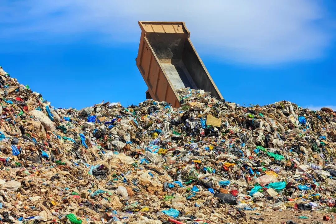 新增品类 | 爱博绿携手飞蚂蚁回收废旧衣服