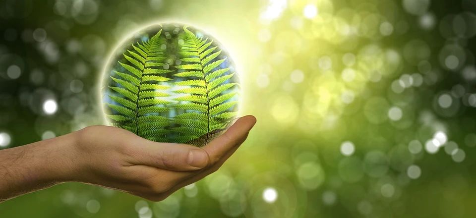 家电绿色升级-爱博绿