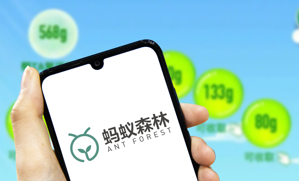 博绿收收蚂蚁森林捐赠 博绿收收蚂蚁森林捐赠